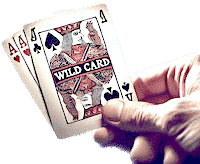 Wideo Poker i Dzika Karta Wild Card - Dzika Karta w Wideo Pokerze